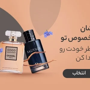 کارنی ایکس سایتک نوتریشن | Carni-X scitec nutrition